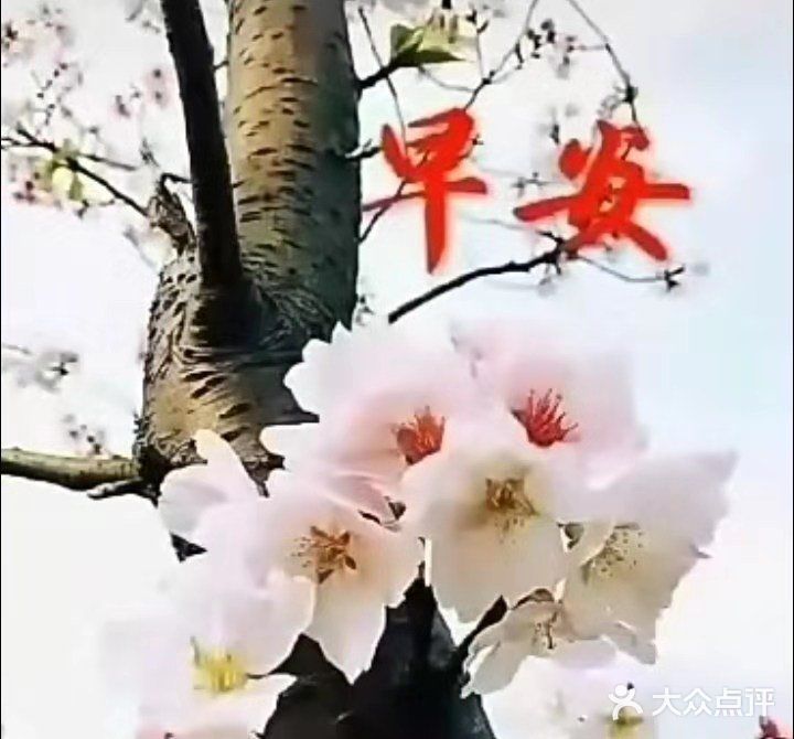 磨掉生活的梭角，要勇于奋进，知难而上，面对生活