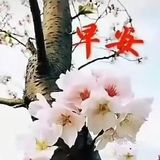 磨掉生活的梭角，要勇于奋进，知难而上，面对生活