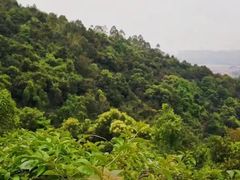 -火炉山森林公园