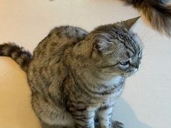 -平行世界·猫咖(首经贸店)