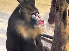 -济南野生动物世界