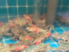 -锅老头铁锅炖•大锅蒸汽海鲜(韩乐坊店)