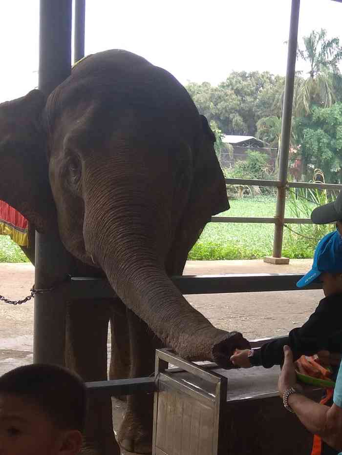 東莞香市動物園