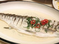 清蒸白鱼-二十八里太湖船菜(吉祥路店)