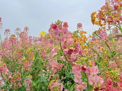 -中国天府农业博览园