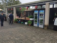 -食家鸽园