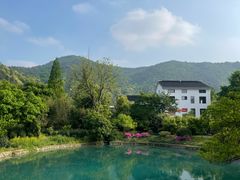 -树山生态村
