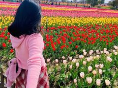 -黄海国家森林公园