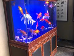 -知足堂养生会所(碑亭巷店)