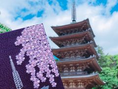 -醍醐寺