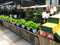 -果蔬好生活超市(乐堤港店)