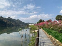 -新安江山水画廊风景区