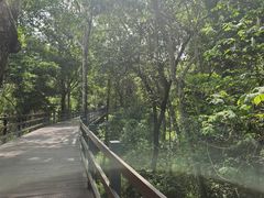 -野象谷景区