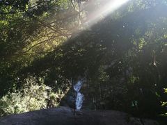 -海南霸王岭国家森林公园
