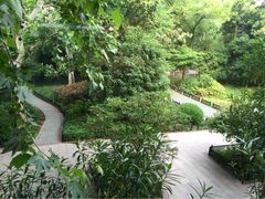 Ginger&nbsp;by&nbsp;the&nbsp;park-Ginger(兴国路店)
