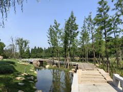 -澹台湖公园