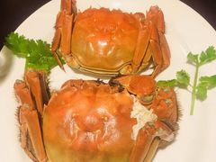 -桃源春晓中餐厅 TaoYuan Restaurant