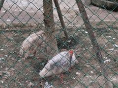 -下渚湖国家湿地公园科普馆