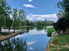 -大兴滨河森林公园