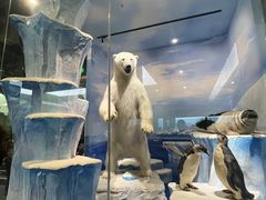 -国家自然博物馆