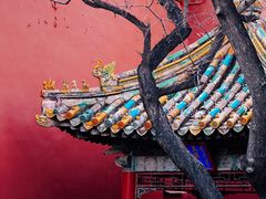 -故宫博物院(故宫)