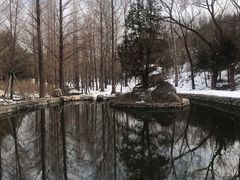 -白水寺森林公园