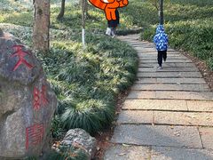 -九曜山
