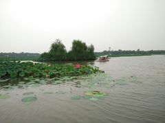 -白洋淀景区
