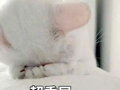 -乐汇城