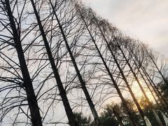 -红星坪温泉精品酒店