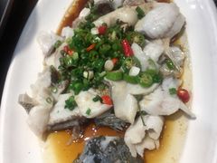 藤椒鲈鱼-喜来酌海鲜·饺子(和平一店)