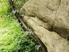 -云岫谷游猎自然风景区