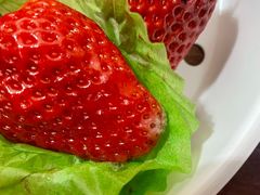 -西郊国际农产品交易中心