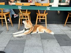 -RAC BAR(安福路店)