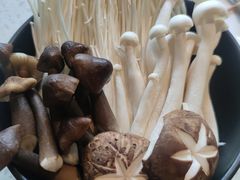 -顺德公广东猪肚鸡·煲仔饭(白石洲店)
