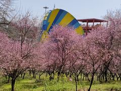 -南京珍珠泉风景区