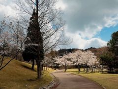 -神户市立六甲山牧场