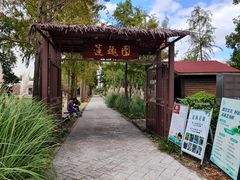 -上海长兴岛郊野公园