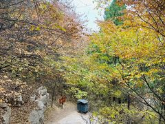 -青州市云门山风景区