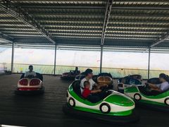 -泉州海丝野生动物世界