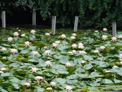-黔灵山公园