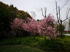 -宋庆龄陵园