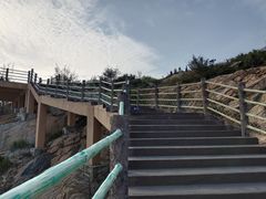 -广东惠东海龟国家级自然保护区