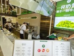 -茉酸奶(春熙路店)