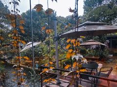 -谷咖啡·鲜花绿植花园餐厅