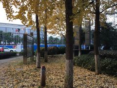 -皇冠幸福里动物奶油生日蛋糕(光谷软件园店)