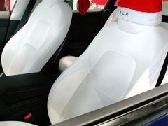 -TESLA 特斯拉(深圳观澜特斯拉直营钣喷中心)