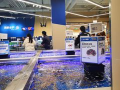 -盒马X会员店(上海森兰商都店)