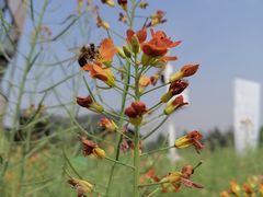 -中国天府农业博览园