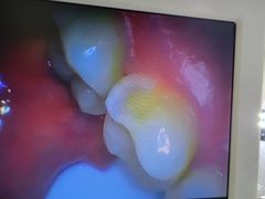 -幺不倒重庆小面(大梁店)